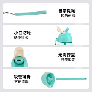 特百惠（Tupperware） 乐C550ML男女吸管便携密封办公运动塑料水杯子 (会员再减10)蜜桃橙 550ml 1个