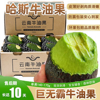 余悦云南孟连哈斯牛油果当季新鲜水果鳄梨巨无霸一级大果整箱牛油果 130g -170g 中果 分享 4个