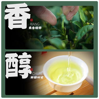 陈一凡 茶叶雀舌特级 绿茶2023新茶明前春茶 贵州湄潭雀舌翠芽袋装250g