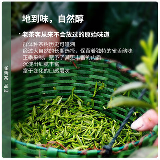 陈一凡 茶叶雀舌特级 绿茶2023新茶明前春茶 贵州湄潭雀舌翠芽袋装250g