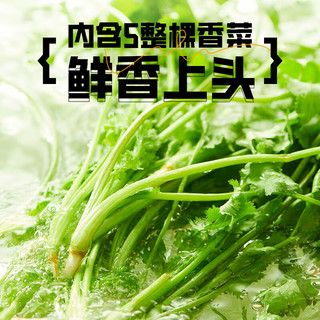 BAIXIANG 白象 香菜面 115g*12桶