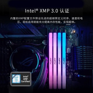 金士顿（Kingston） FURY DDR5台式机内存条 叛逆者Renegade系列 骇客神条 6000单条16G【灯条RGB】