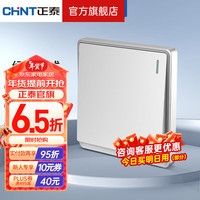 正泰（CHNT）开关插座面板带USB-TYPC网线墙面5孔空调墙壁全屋套餐6M太空银 一开单控10A