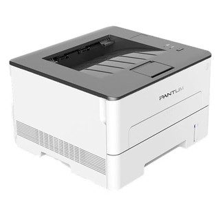 奔图（PANTUM）P3019D 黑白激光单功能打印机 自动双面打印 USB连接 商用办公打印机