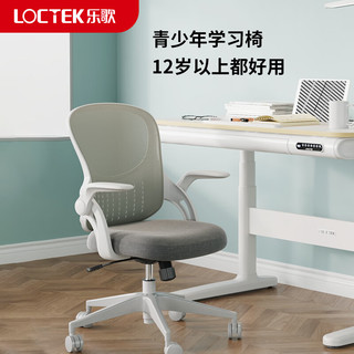 Loctek 乐歌 A2 人体工学电脑椅 青少年椅子
