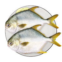 88VIP：UNIVERSAL 环球水产 金鲳鱼700g 2条 BAP认证生鲜 鱼类深海鱼
