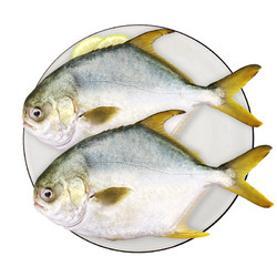 UNIVERSAL 環球水產 金鯧魚700g 2條 BAP認證生鮮 魚類深海魚