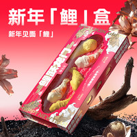 送给宠物的新年「鲤」盒：YOOIU 有鱼 宠物零食冻干 限定鲤跃龙门新年礼盒  40g