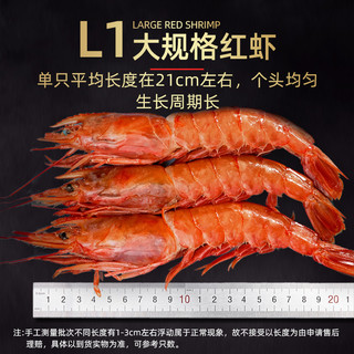 阿根廷大红虾l1超大特大新鲜冷冻刺身红虾海鲜水产船冻虾4斤