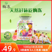 LIUM 溜溜梅 天然梅冻果冻5味超值装1080g