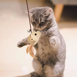 HOUYA 猫咪玩具逗猫棒 2只装 自嗨逗猫木质老鼠铃铛猫猫用品小猫羽毛逗猫棒