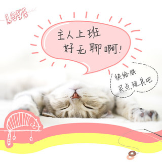 zhenchongxingqiu 珍宠星球 猫咪玩具猫抓板激光逗猫棒自嗨非薄荷剑麻球逗猫球幼猫小猫玩具仿真老鼠