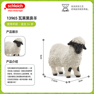 思乐仿真动物模型农场动物羊玩具手办摆件收藏 瓦莱黑鼻羊13965 0