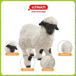 思乐仿真动物模型农场动物羊玩具手办摆件收藏 瓦莱黑鼻羊13965 0