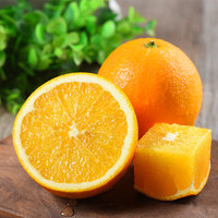 伦晚脐橙 9斤 橙子 新鲜水果甜橙榨汁橙 秭归橙 酸甜 60-65mm