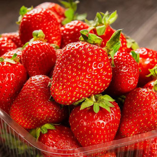 红颜99草莓 净重2.5斤 巨无霸 （单果30-50G）