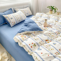 晟日晨辉 冬季保暖双层纱水洗棉床上用品四件套 晚风2.0m床单四件套