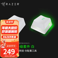 雷蛇（Razer） PBT/ABS键帽升级套件 樱桃配列 双色注塑 游戏机械键盘104透光含拔键器 幽灵布丁键帽 水银