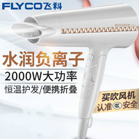 飞科（FLYCO） 电吹风 家用舒适大功率吹风筒可折叠便携式吹风机冷热风FH6228