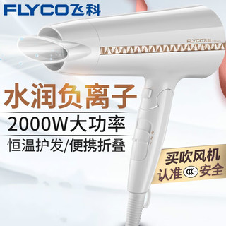 飞科（FLYCO） 电吹风 家用舒适大功率吹风筒可折叠便携式吹风机冷热风FH6228