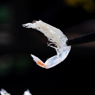 渔食客淡干虾皮非特级海米虾米干货罐装虾皮粉即食海鲜干货