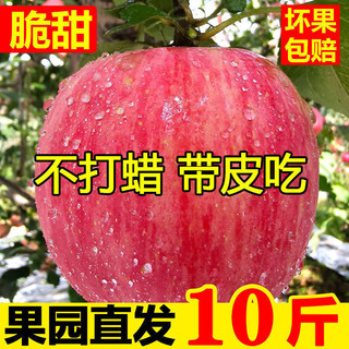 元族 红富士苹果新鲜脆甜薄皮不打蜡带皮吃优选10斤装