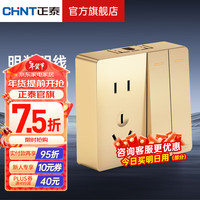 正泰（CHNT） 明装插座墙壁面板无边框大面板 NEW1H金色 二开五孔单控10A