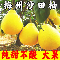 柚满园【纯甜不酸】梅州沙田柚子特产广东金柚碌柚新鲜水果沙甜柚 大果3-5个带箱9-10斤