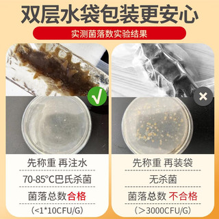 晓芹 大连冷冻即食海参 辽刺参 海鲜水产 1000g16-24只 礼盒装