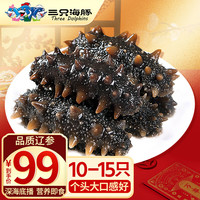 Three Dolphins 三只海豚 即食海参 大连辽刺参250g野生底播海参 250g   10-15只