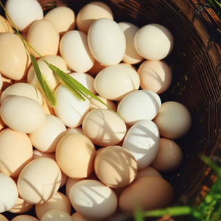 对面小城新鲜现捡土鸡蛋柴鸡蛋初生蛋40±5g/枚 4枚装
