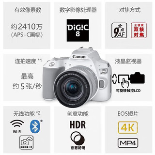 Canon 佳能 单反相机