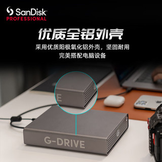 SanDisk professional 闪迪大师 移动机械硬盘