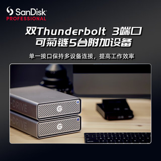 SanDisk professional 闪迪大师 移动机械硬盘