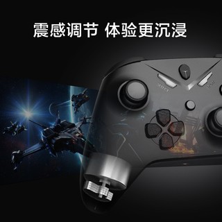 雷神（ThundeRobot） 游戏手柄无线有线蓝牙三模PC电脑版Steam Switch电视 【有线-双人套装】G20游戏手柄