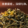 寻茶令 横县茉莉花茶叶2023新茶茉莉绿茶浓香型罐装茶礼品50g送人