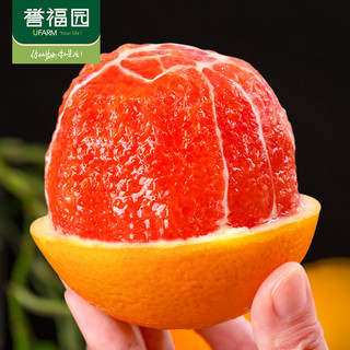 誉福园 中华红血橙5斤装新鲜应季新鲜水果酸甜多汁12枚手提礼盒