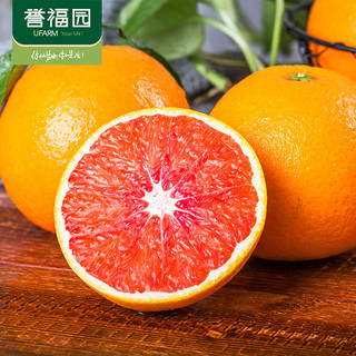 誉福园 中华红血橙5斤装新鲜应季新鲜水果酸甜多汁12枚手提礼盒