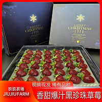 【稀有品种】黑珍珠草莓36/40粒礼盒装香甜爆汁非丹东99草莓