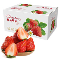 姬幻大凉山奶油草莓 红颜99草莓新鲜水果 甄选奶油红颜草莓 1盒（单盒11粒单盒300g）