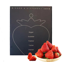 智洲丹东99红颜草莓 源头直发 礼盒装 35枚单颗25g-30g+ 臻品红颜99草莓 1盒 35粒礼盒装【单果25g-30g】