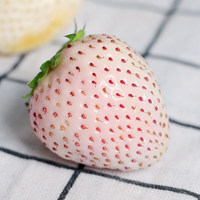 风之郁 淡雪白草莓 一斤2盒/单盒11-15粒装