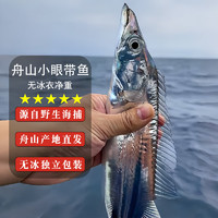 鲜源澜湾 舟山小眼带鱼 舟山油带鱼 钓带 海捕带鱼特级带鱼生鲜 生鲜鱼类 小眼油带鱼5斤(13-15条)