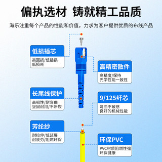 海乐（Haile）单模光纤跳线（SC-SC，9/125）电信级单芯尾纤网线1.5米 HJ-1SC-SC-S1.5