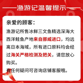 渔游记挪威进口冰鲜三文鱼 刺身中段 大西洋鲑 生吃鱼片 冰鲜三文鱼刺身中段500g