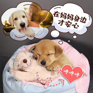 all for paws温暖安眠小熊 毛绒狗狗玩具 耐咬磨牙中小型犬玩具  内置心跳设计热石袋