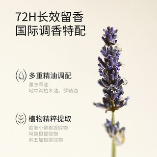 香鉴薰衣草洗发水/精油香氛柔顺洗发液 改善毛躁顺滑洗发膏洗头水 洗发水300ml*2