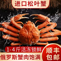 蟹锦记 活冻俄罗斯松叶蟹 1kg-1.25kg/只