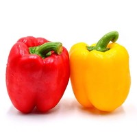CAi FAN 采蘩 红黄彩椒 灯笼椒 方椒青椒甜辣椒 沙拉食材新鲜蔬菜 3斤