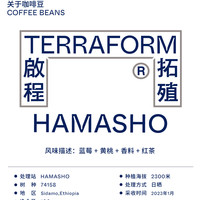 【Terraform】蓝莓 黄桃 红茶 2023产季埃塞日晒口粮咖啡豆100g